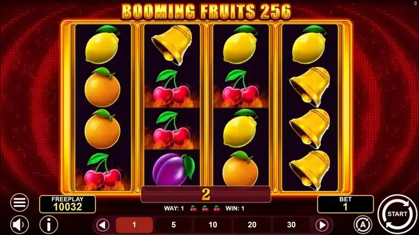 Booming Fruits 256 slot screenshot 4