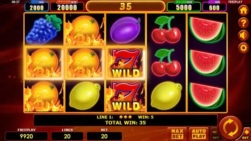 Hot Fruits 20 Cash Spins slot screenshot 4