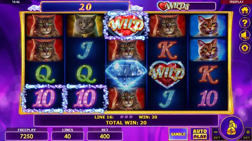 Wild Hearts slot screenshot 5