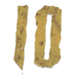 icon 10