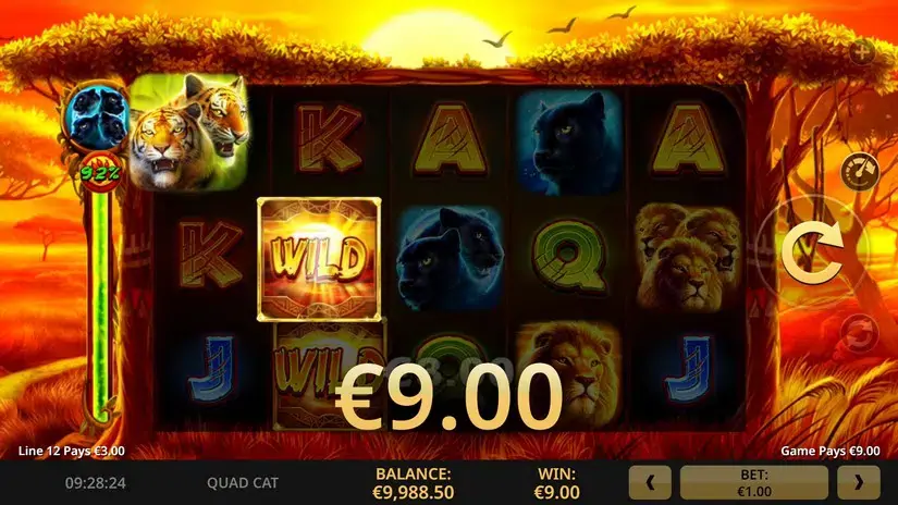 Quad Cat slot screenshot 4
