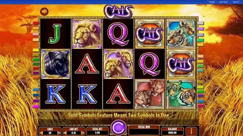 Cats slot screenshot 1