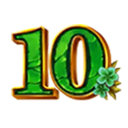 icon 10