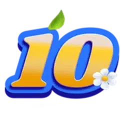 icon 10