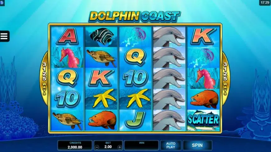 Dolphin Coast slot screenshot 1