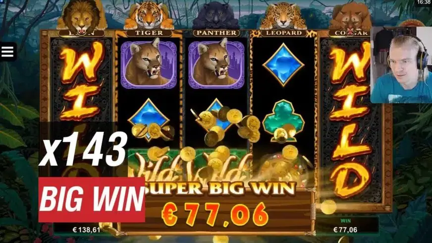 Exotic Cats slot screenshot 6