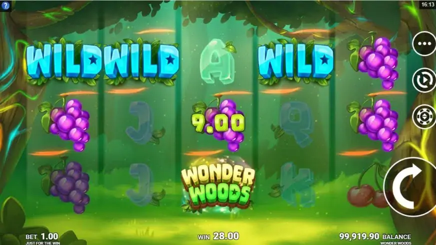 Wonder Woods slot screenshot 3