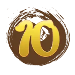 icon 10