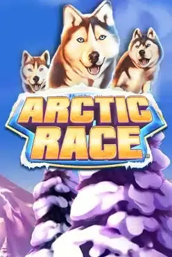 Arctic Race