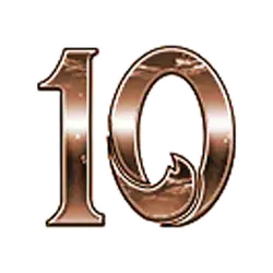 icon 10