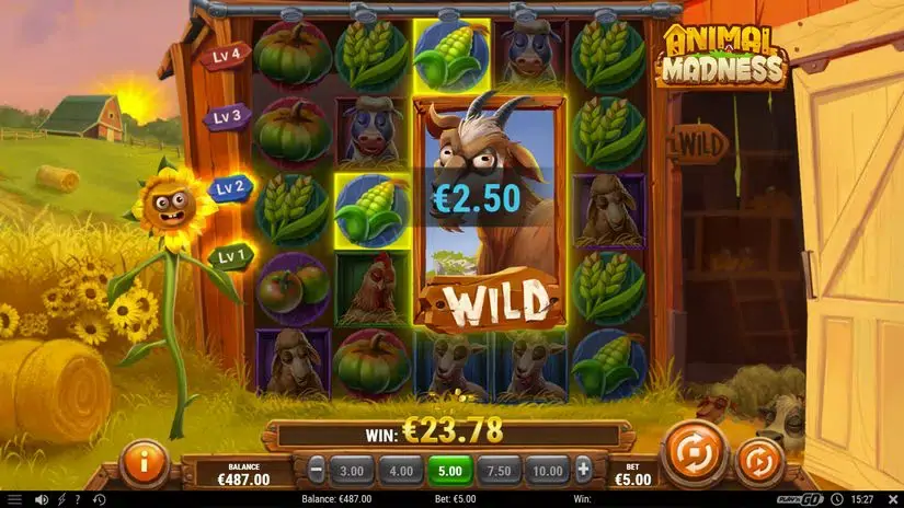 Animal Madness slot screenshot 8