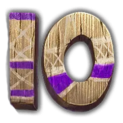icon 10