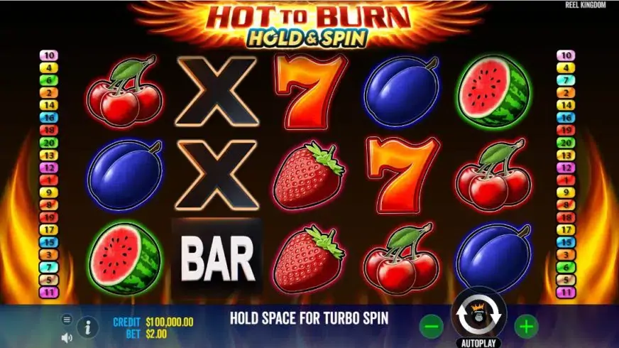 Hot to Burn Hold and Spin slot screenshot 