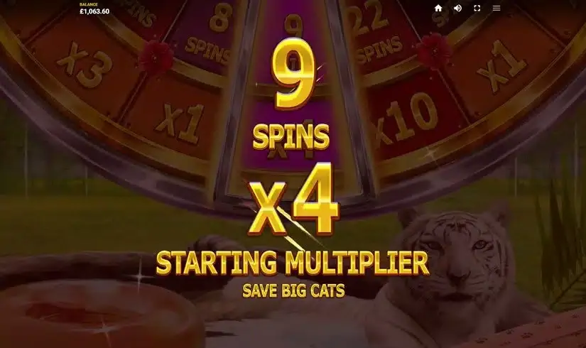 Big Cat Rescue MegaWays slot screenshot 2