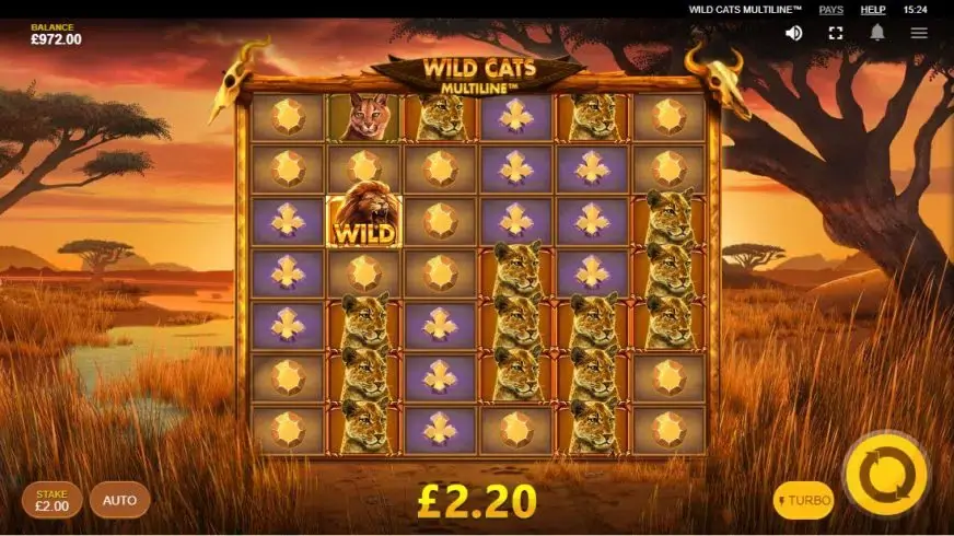 Wild Cats Multiline™ slot screenshot 4