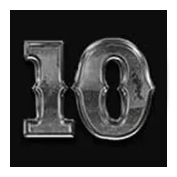 icon 10