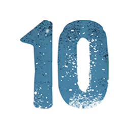 icon 10