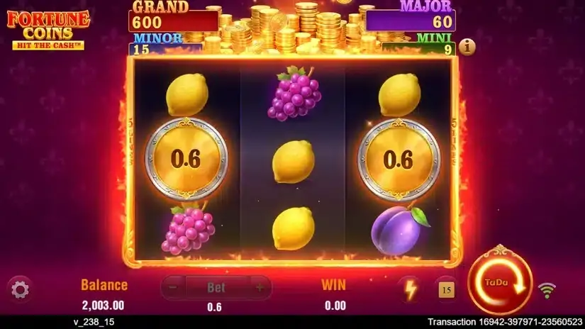 Fortune Coins slot screenshot 5
