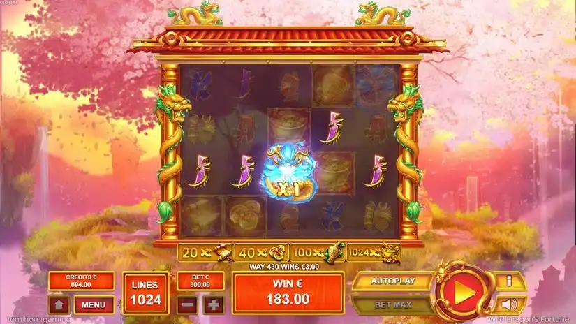 Wild Dragon`s Fortune slot screenshot 5